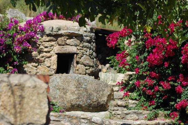 Casa Rural Virgen De La Cabeza Pensionat Valencia de Alcántara Eksteriør billede